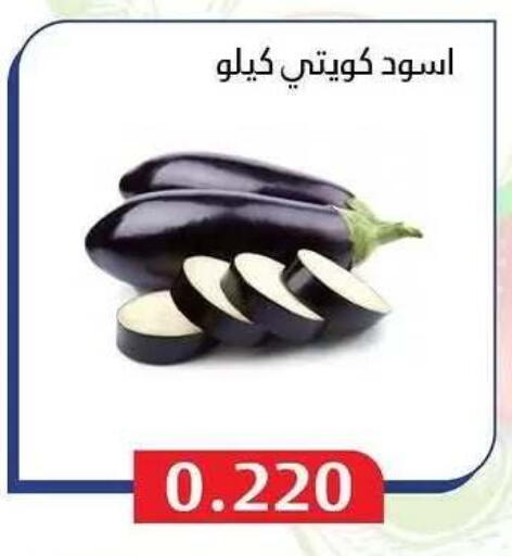 available at Al Masayel co-op  in Kuwait - Jahra Governorate