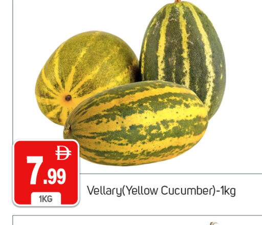 Cucumber available at سوق طلال in الإمارات العربية المتحدة , الامارات - دبي