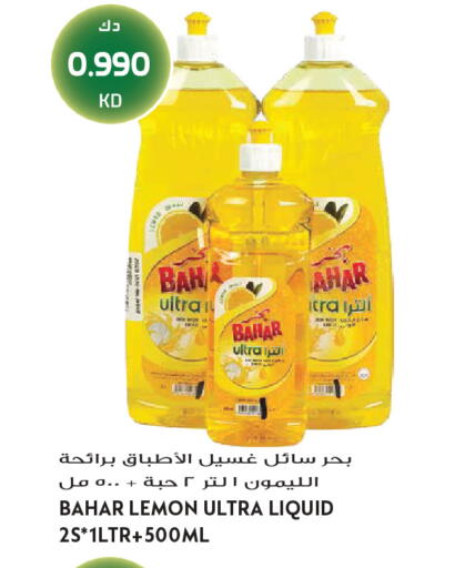 Lemon available at Grand Hyper in Kuwait - Jahra Governorate