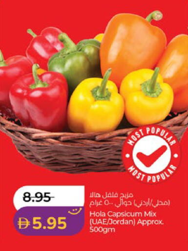 Capsicum from Jordan available at Lulu Hypermarket in UAE - Al Ain