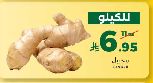 Ginger available at ميرا مارت مول in مملكة العربية السعودية, السعودية, سعودية - جدة