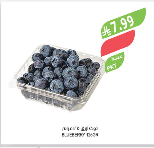 Blueberry BlueBerry available at المزرعة in مملكة العربية السعودية, السعودية, سعودية - الباحة