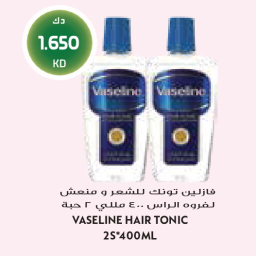 available at Grand Costo in Kuwait - Kuwait City