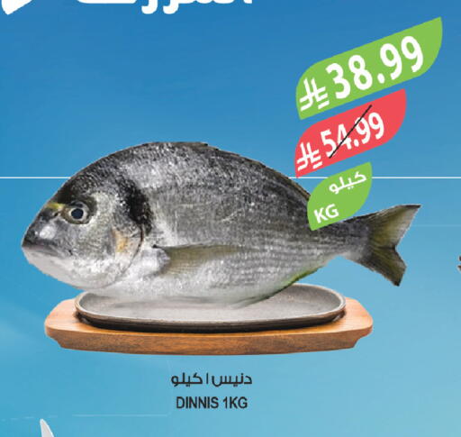 available at المزرعة in مملكة العربية السعودية, السعودية, سعودية - الباحة