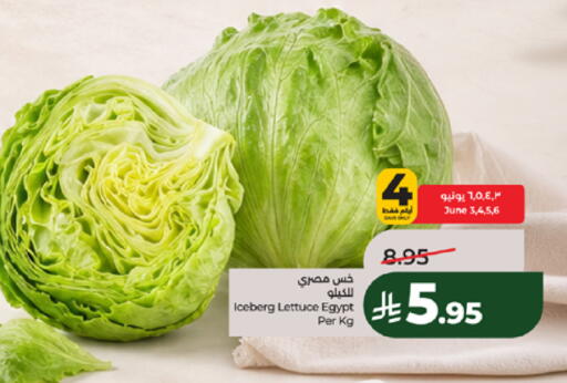 Lettuce from Egypt available at لولو هايبرماركت in مملكة العربية السعودية, السعودية, سعودية - مكة المكرمة
