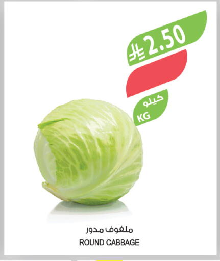 Cabbage available at المزرعة in مملكة العربية السعودية, السعودية, سعودية - سكاكا