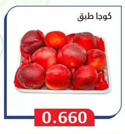 available at Al Masayel co-op  in Kuwait - Jahra Governorate