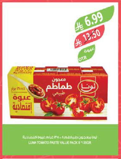 Tomato available at Farm  in KSA, Saudi Arabia, Saudi - Najran