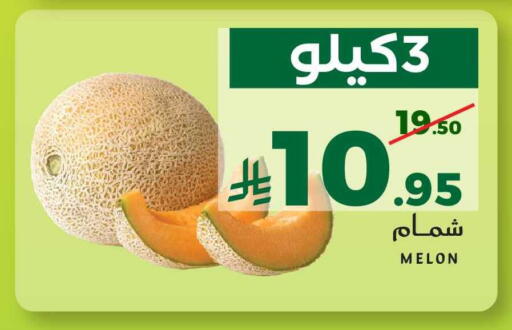 Melon available at ميرا مارت مول in مملكة العربية السعودية, السعودية, سعودية - جدة