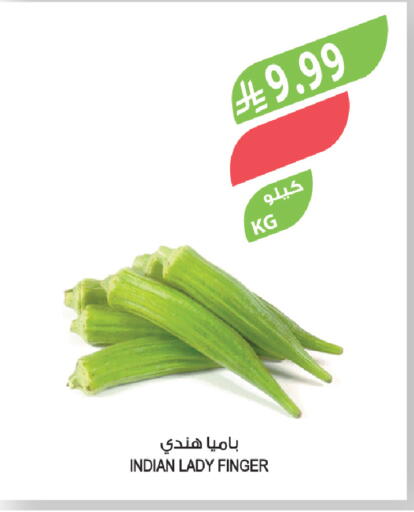 from India available at المزرعة in مملكة العربية السعودية, السعودية, سعودية - الباحة