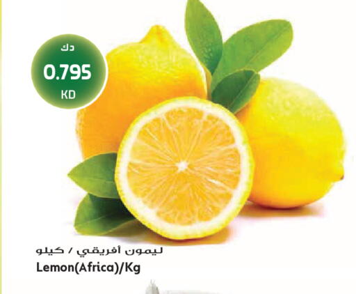 Lemon available at Grand Hyper in Kuwait - Jahra Governorate