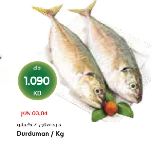 available at Grand Costo in Kuwait - Kuwait City