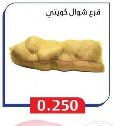 available at Al Masayel co-op  in Kuwait - Jahra Governorate
