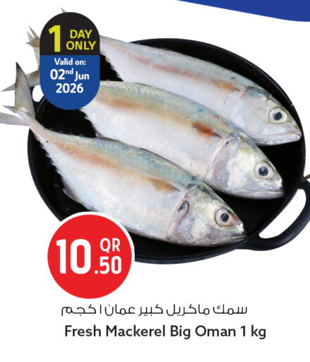 available at سفاري هايبر ماركت in قطر - الريان