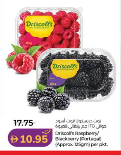 Raspberry Blackberry from Portugal available at لولو هايبرماركت in الإمارات العربية المتحدة , الامارات - ٱلْعَيْن‎