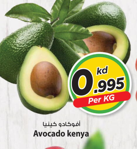 Avocado from Kenya available at Mark & Save in Kuwait - Ahmadi Governorate
