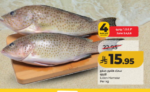 available at LULU Hypermarket in KSA, Saudi Arabia, Saudi - Mecca