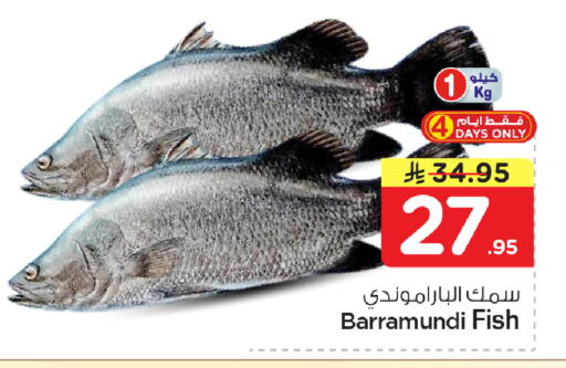 available at نستو in مملكة العربية السعودية, السعودية, سعودية - الأحساء‎