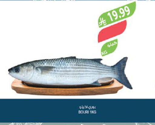 available at Farm  in KSA, Saudi Arabia, Saudi - Abha