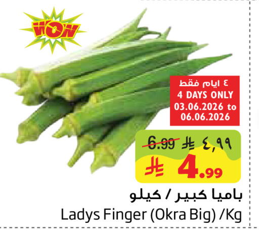 Okra available at ليان هايبر in مملكة العربية السعودية, السعودية, سعودية - المنطقة الشرقية