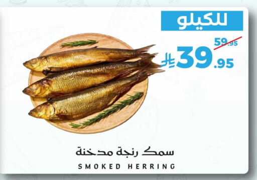 available at ميرا مارت مول in مملكة العربية السعودية, السعودية, سعودية - جدة