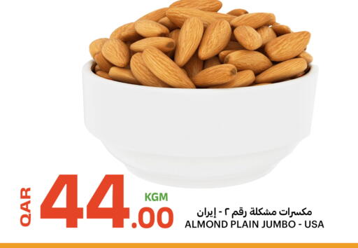 available at البلدي اليوم in قطر - الشحانية