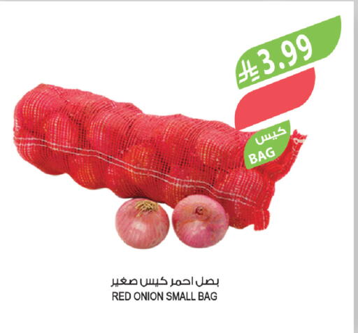 Onion available at المزرعة in مملكة العربية السعودية, السعودية, سعودية - الباحة