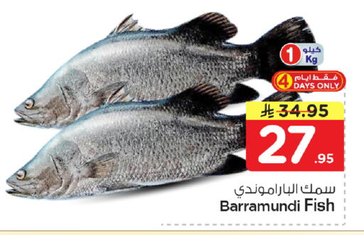available at نستو in مملكة العربية السعودية, السعودية, سعودية - المنطقة الشرقية