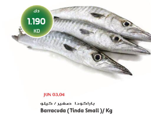 available at جراند هايبر in الكويت - محافظة الجهراء