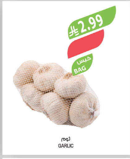 Garlic available at المزرعة in مملكة العربية السعودية, السعودية, سعودية - الباحة