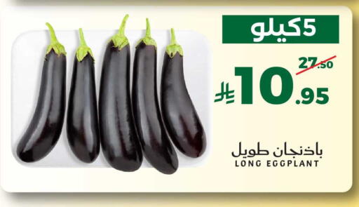 Eggplant available at ميرا مارت مول in مملكة العربية السعودية, السعودية, سعودية - جدة