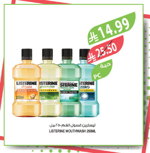 Mint available at المزرعة in مملكة العربية السعودية, السعودية, سعودية - سكاكا