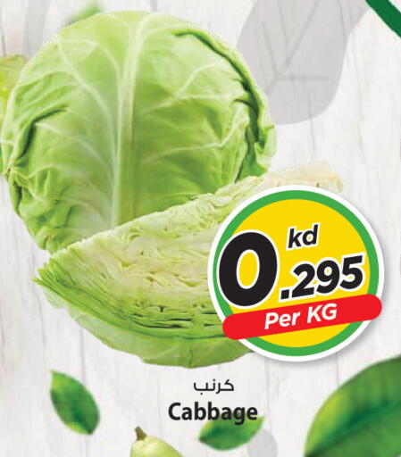 Cabbage available at Mark & Save in Kuwait - Ahmadi Governorate