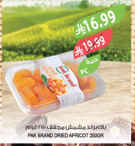 Apricot available at المزرعة in مملكة العربية السعودية, السعودية, سعودية - سكاكا