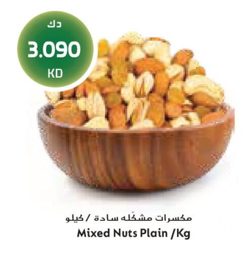 available at جراند كوستو in الكويت - مدينة الكويت
