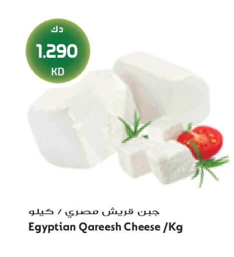 available at Grand Costo in Kuwait - Kuwait City