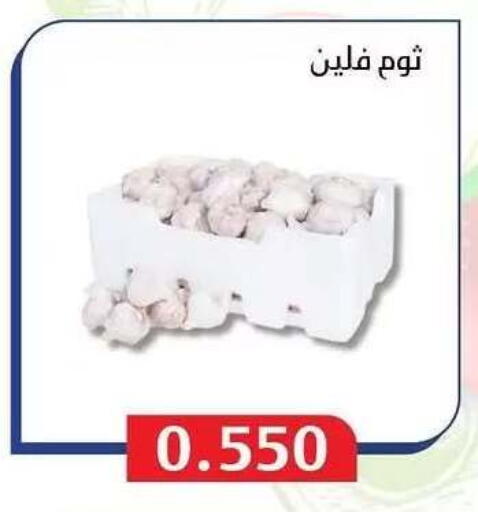 available at Al Masayel co-op  in Kuwait - Jahra Governorate