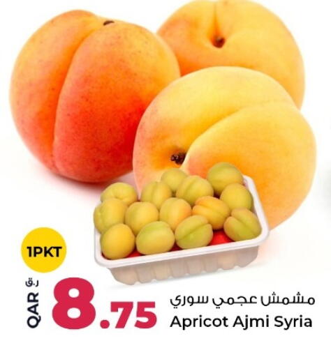 Apricot from Syria available at روابي هايبرماركت in قطر - الشمال