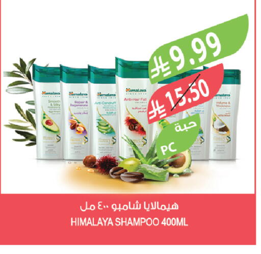 available at المزرعة in مملكة العربية السعودية, السعودية, سعودية - عرعر