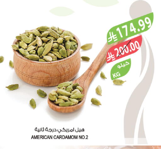 Cardamom available at المزرعة in مملكة العربية السعودية, السعودية, سعودية - سكاكا