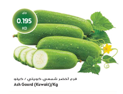from Kuwait available at Grand Hyper in Kuwait - Jahra Governorate