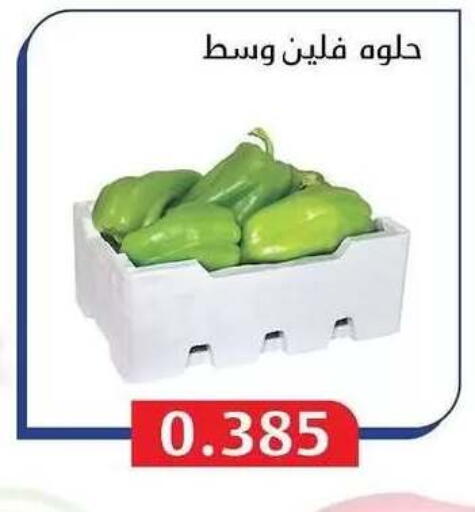 available at Al Masayel co-op  in Kuwait - Jahra Governorate
