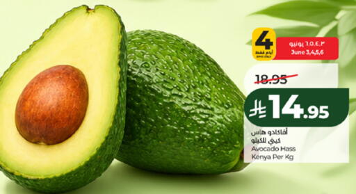 Avocado from Kenya available at لولو هايبرماركت in مملكة العربية السعودية, السعودية, سعودية - مكة المكرمة