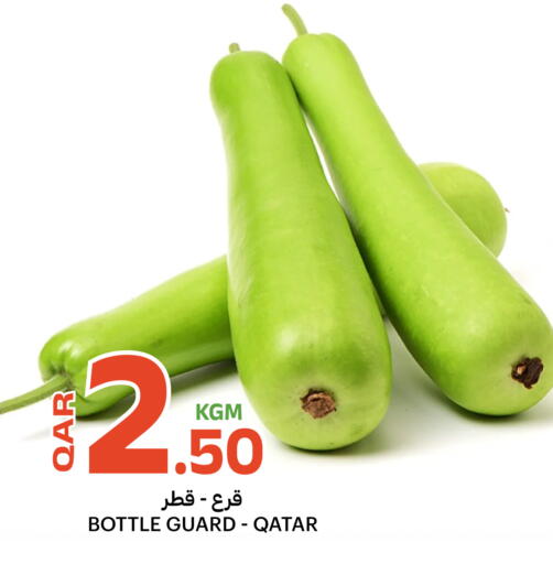 from Qatar available at البلدي اليوم in قطر - الشحانية