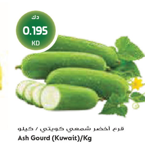 from Kuwait available at Grand Costo in Kuwait - Kuwait City