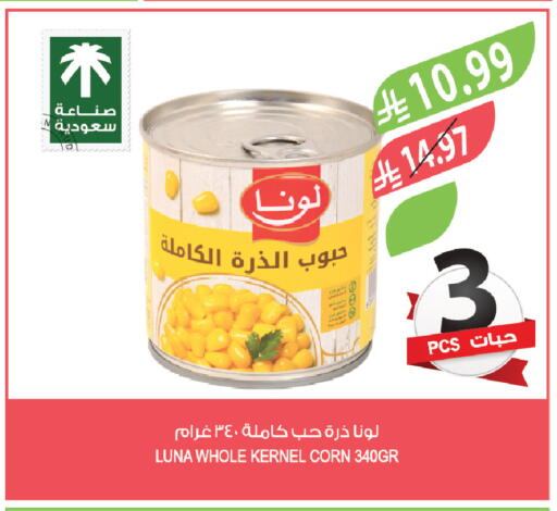 available at المزرعة in مملكة العربية السعودية, السعودية, سعودية - الباحة