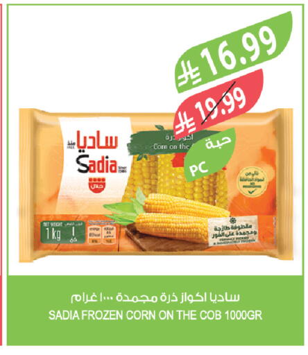available at المزرعة in مملكة العربية السعودية, السعودية, سعودية - الباحة