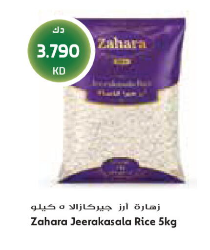 available at Grand Costo in Kuwait - Kuwait City