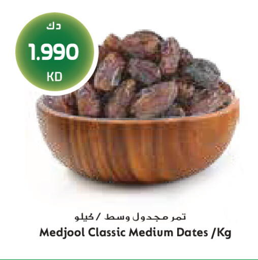 available at جراند كوستو in الكويت - مدينة الكويت