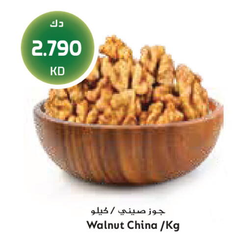 available at جراند كوستو in الكويت - مدينة الكويت